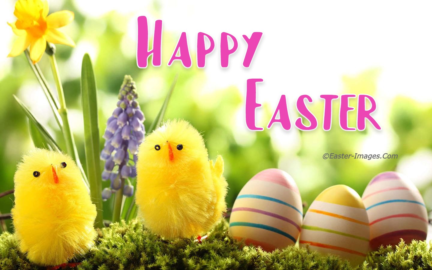 happy easter 2022 wallpaper